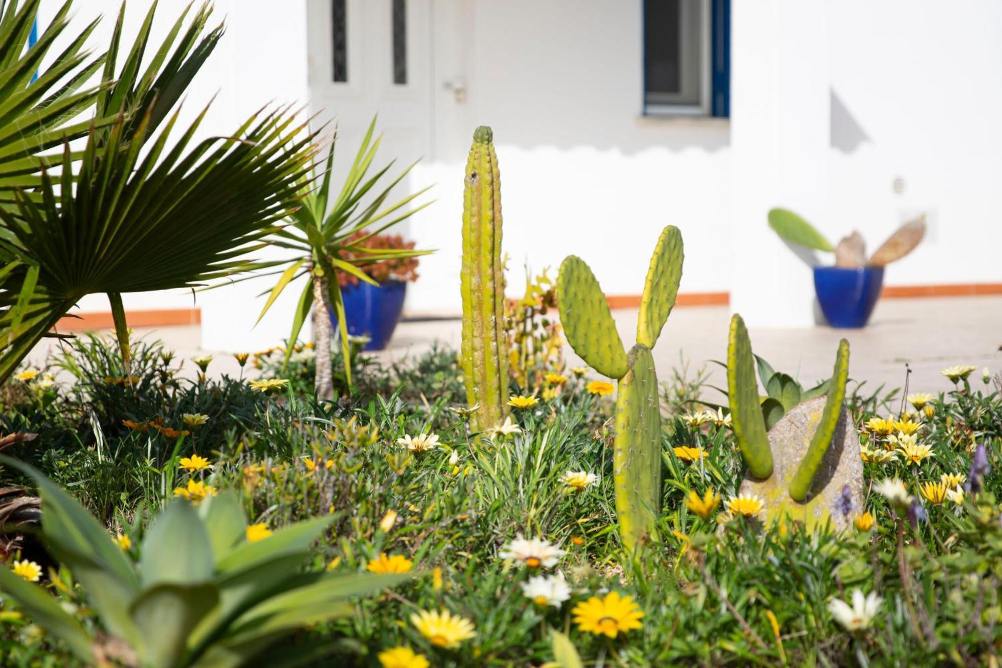 Villa Marécasa Aljezur Exterior foto